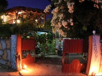 Dragonfly Inn Arugambay