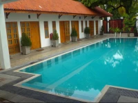 Taprospa Palm Leaves