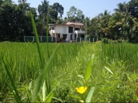 Galle Homestay Kalahe