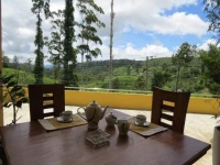 Tea Hills Bungalow 3*