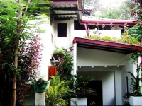 Guesthouse Sri Lanka Flora