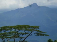 Hanthana Breeze Home Stay