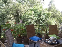 Jasmine Homestay Kandy