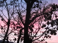 Riverside 8 On 12 Guest House