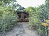 Wild Trails вЂ“ Yala Tented Safari Camp 4*