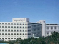 Narita Excel Tokyu 4*