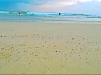 Ocean Villa Surf Kingdom