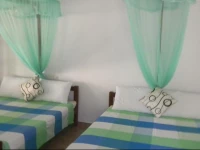 Nature Walk Sigiriya