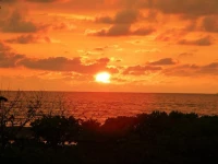 Wild Sands Beach Villa