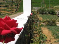 Hill Breeze Villa 2*