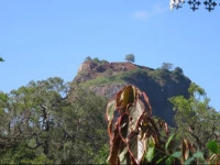 Sigiriya Nieel Home Stay