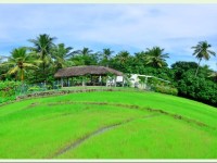 Ancient Village Hotel Polonnaruwa 2*