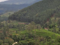 Country Comfort Hotel Ella 3*