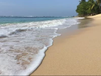 Blue Oceania Residences and Suites