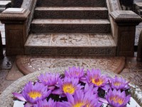 Maduganga Villa Amazing Island Resort