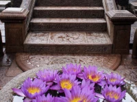 Maduganga Villa Amazing Island Resort