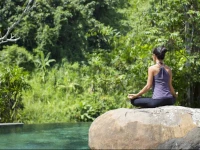 The Lokha Ubud Resort 5*