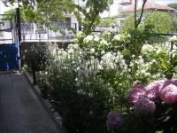 Magi (РњР°РіРё)