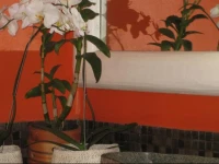 Villa Cepaka Bed & Breakfast