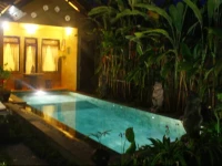 Merta House Jasan Village Ubud