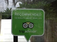 Louto Dmell Homestay