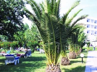 Mitsis Faliraki Beach 4*