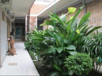 Kenongo Surabaya Hotel 1*