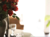 Cozy Living Homestay