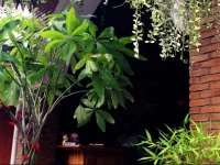 House of Zaza Zizi 1*