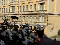 Davidov Guest House 3*