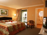 The Knutsford Court Hotel 3*