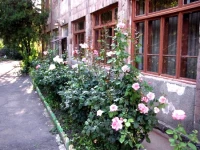 Lalvar Hotel Alaverdi 2*