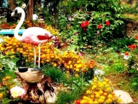 Sweet Home Mini-hotel Dilijan 3*