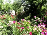 Artush & Raisa B&B Guest House 3*