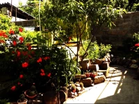 Balcony Villa Hostel 2*