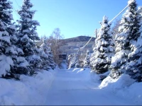 Cottage Guest House Tsaghkadzor - Yeghishe Charents Street 2*