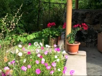 Topaz Guest House 2*