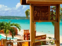 The Palms Resort 3*