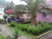 Twins Hotel Batumi 3*