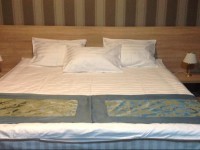 Edelweiss Hotel Stepantsminda 4*