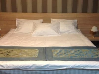 Edelweiss Hotel Stepantsminda 4*