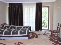 Kavkasioni Hotel  3*
