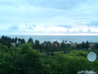 Moses Guest House 2*