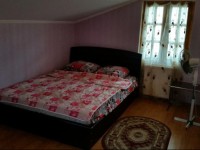 Guesthouse David Mtskheta 3*