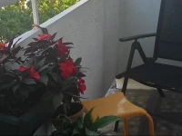 Apart - Marina Maria Apartments