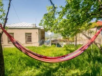 Guesthouse Telavi 3*