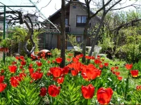 Milorava's Guest House & Wine Cellar 3*