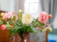 Aperments Lux on Leontovycha 4*