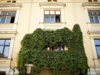 Europe Hostel Lviv 2*