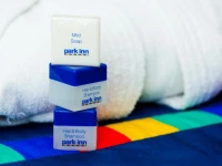 Park Inn by Radisson Sheremetyevo Airport Moscow 3*